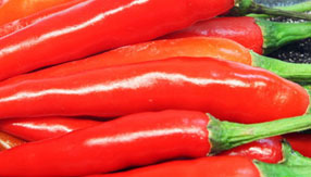 安卓短信轰炸机