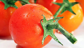 无限循环呼叫短信软件